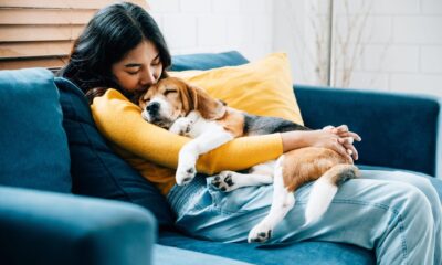 Pet owners